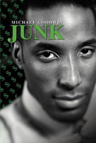 Cover image for Junk