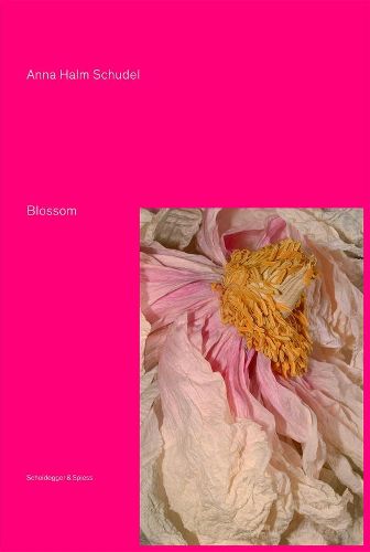 Cover image for Blossom