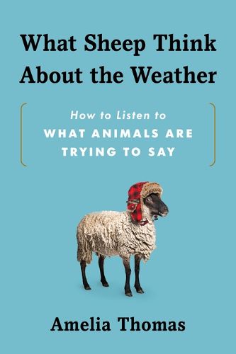 Cover image for What Sheep Think about the Weather