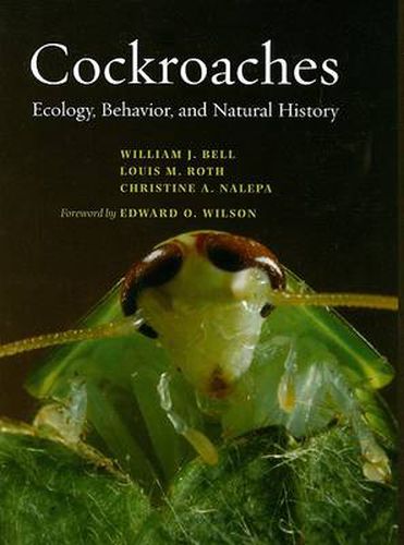 Cover image for Cockroaches: Ecology, Behavior, and Natural History