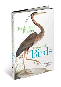 Cover image for Ferdinand Bauer's Remarkable Birds