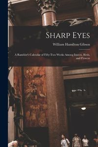 Cover image for Sharp Eyes