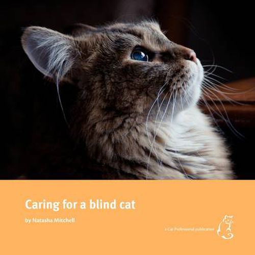 Cover image for Caring for a Blind Cat