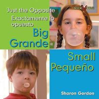 Cover image for Grande, Pequeno / Big, Small