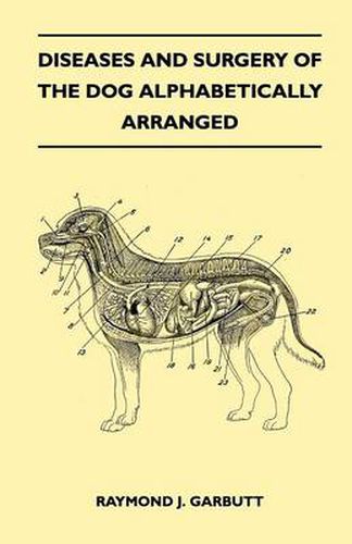 Cover image for Diseases And Surgery Of The Dog Alphabetically Arranged