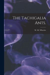 Cover image for The Tachigalia Ants.