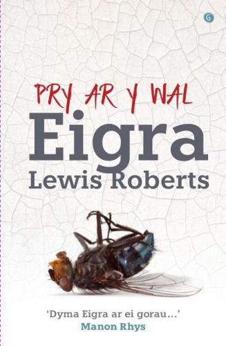 Cover image for Pry ar y Wal