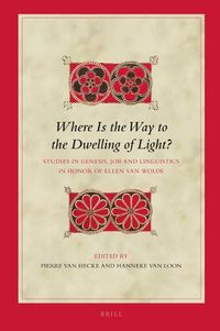 Cover image for Where Is the Way to the Dwelling of Light?