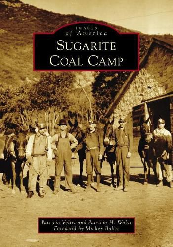 Cover image for Sugarite Coal Camp