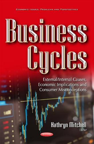 Cover image for Business Cycles: External/Internal Causes, Economic Implications & Consumer Misconceptions