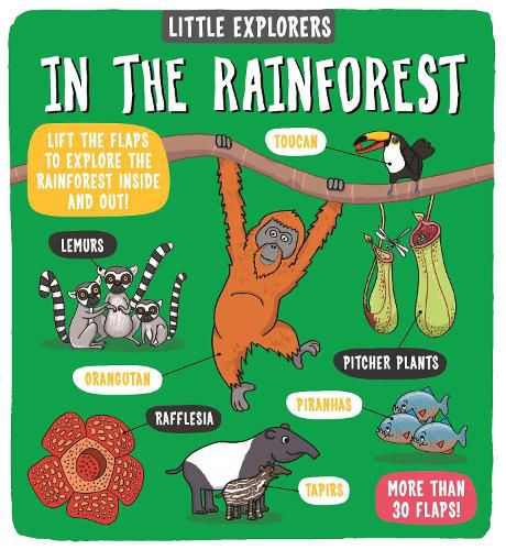 Cover image for Little Explorers: In the Rainforest