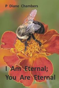 Cover image for I Am Eternal; You Are Eternal
