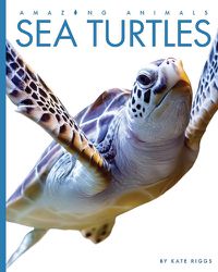 Cover image for Sea Turtles