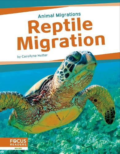 Cover image for Reptile Migration