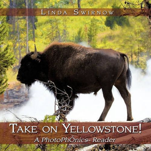 Cover image for Take on Yellowstone!