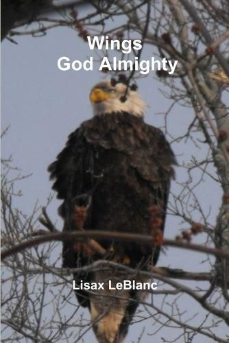 Cover image for Wings God Almighty