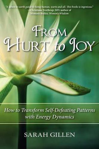 Cover image for From Hurt to Joy