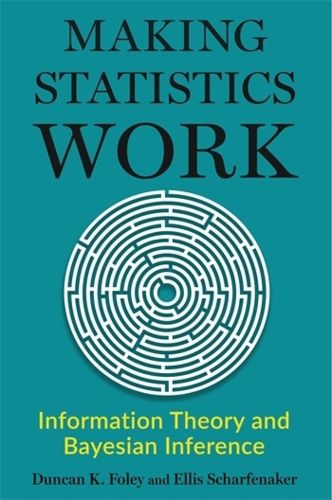Cover image for Making Statistics Work