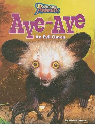 Aye-Aye: An Evil Omen