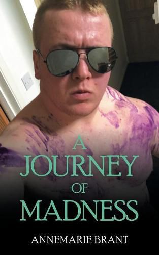 Cover image for A Journey of Madness: Part 1