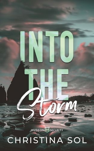 Cover image for Into the Storm