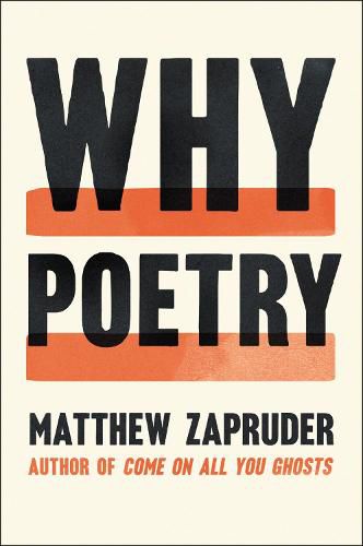 Cover image for Why Poetry