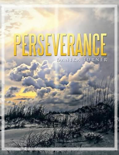 Cover image for Perseverance