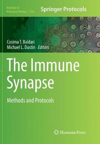 Cover image for The Immune Synapse: Methods and Protocols