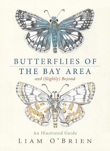 Cover image for Butterflies of the Bay Area and (Slightly) Beyond