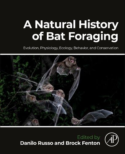 Cover image for A Natural History of Bat Foraging