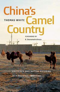 Cover image for China's Camel Country