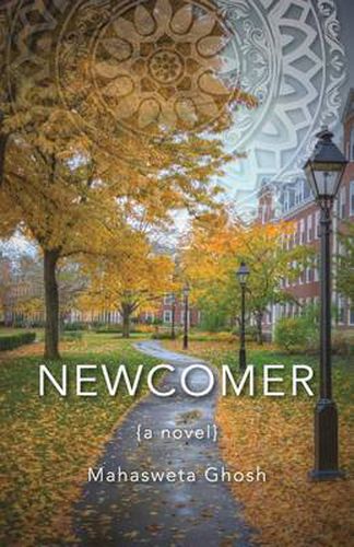 Cover image for Newcomer