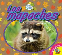 Cover image for Los Mapaches