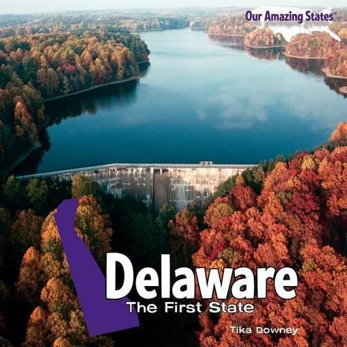 Cover image for Delaware