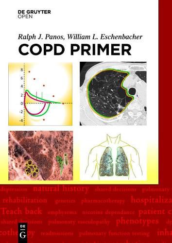 Cover image for A COPD Primer