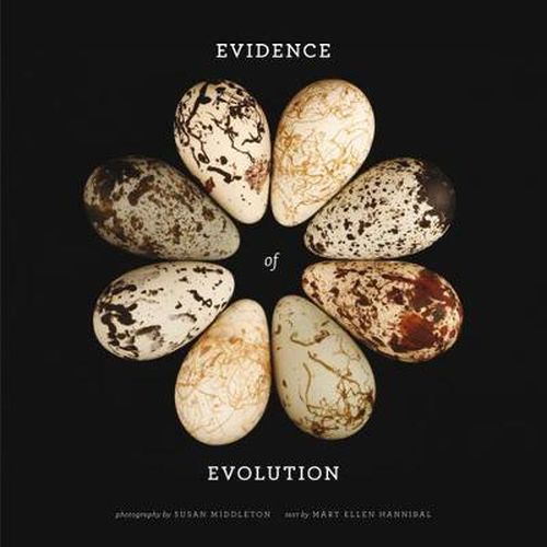 Cover image for Evidence of Evolution