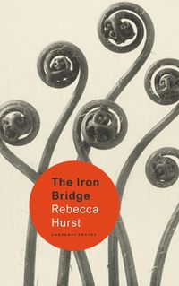 Cover image for The Iron Bridge