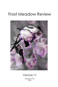 Cover image for Frost Meadow Review Volume 11