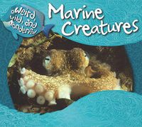 Cover image for Marine Creatures