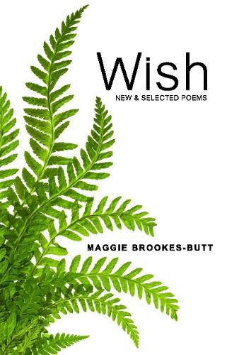 Cover image for Wish