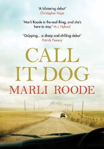 Cover image for Call It Dog