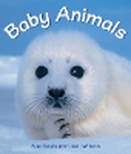 Cover image for Rigby Literacy Emergent Level 3: Baby Animals (Reading Level 2/F&P Level B)