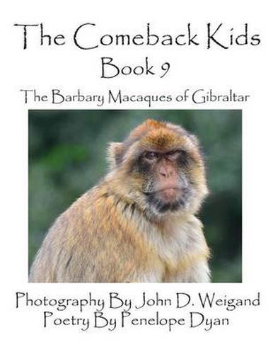 Cover image for The Comeback Kids -- Book 9 -- The Barbary Macaques of Gibraltar