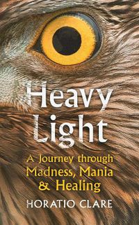 Cover image for Heavy Light: A Journey Through Madness, Mania and Healing