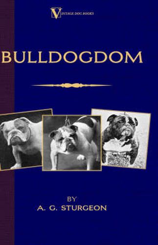 Cover image for Bulldogdom (A Vintage Dog Books Bulldog Classic - Bulldogs)