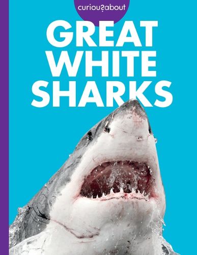 Cover image for Curious about Great White Sharks