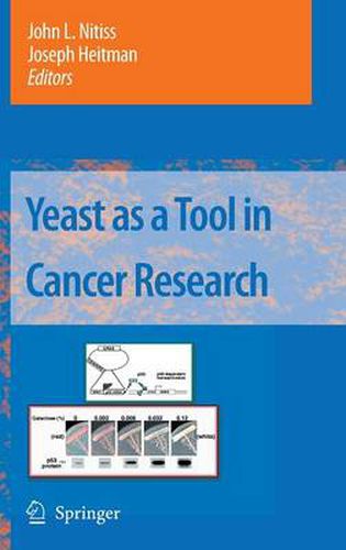 Cover image for Yeast as a Tool in Cancer Research