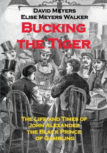 Cover image for Bucking the Tiger