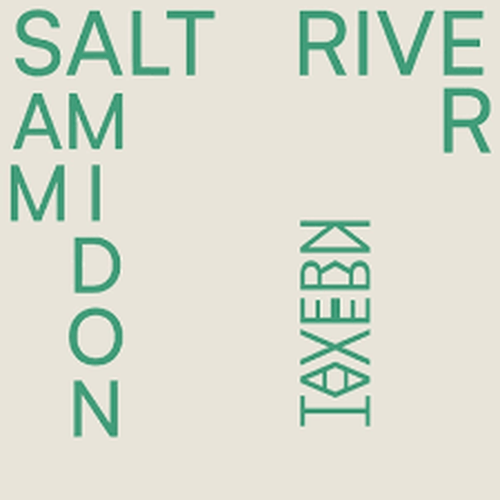 Cover image for Salt River - Sam Amidon *** Vinyl