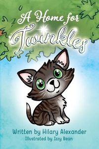 Cover image for A Home for Twinkles